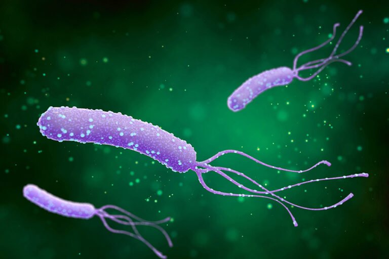 Treatment of Helicobacter Pylori