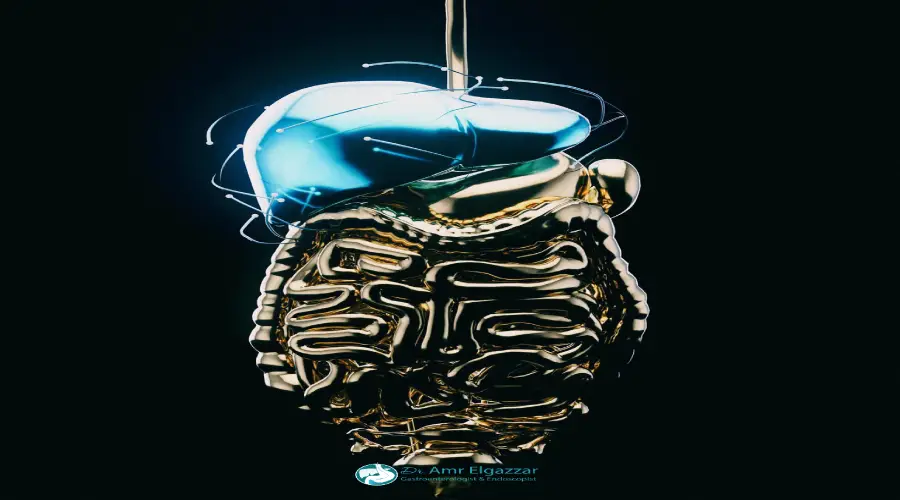 سعر منظار القولون في مصر