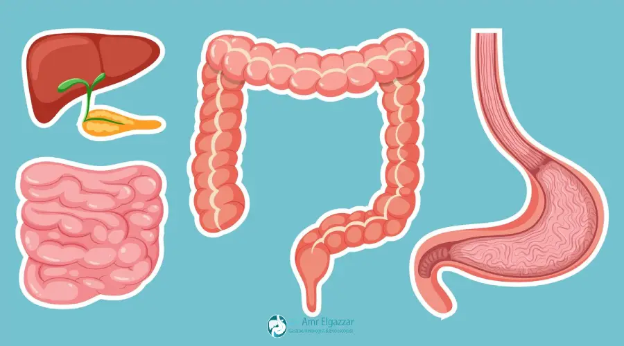 تجربتي مع منظار القولون